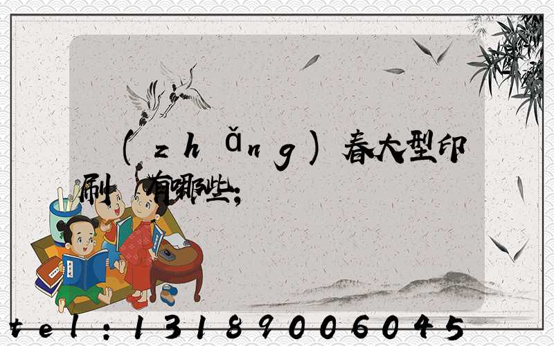 長(zhǎng)春大型印刷廠有哪些