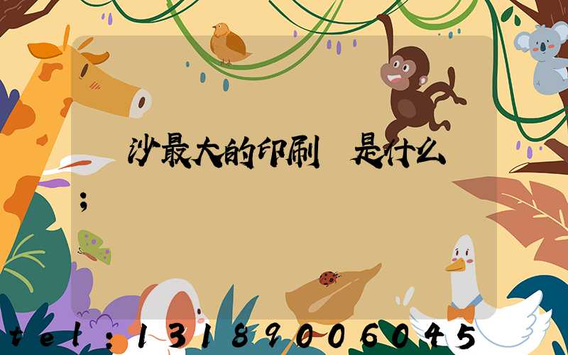 長沙最大的印刷廠是什么廠
